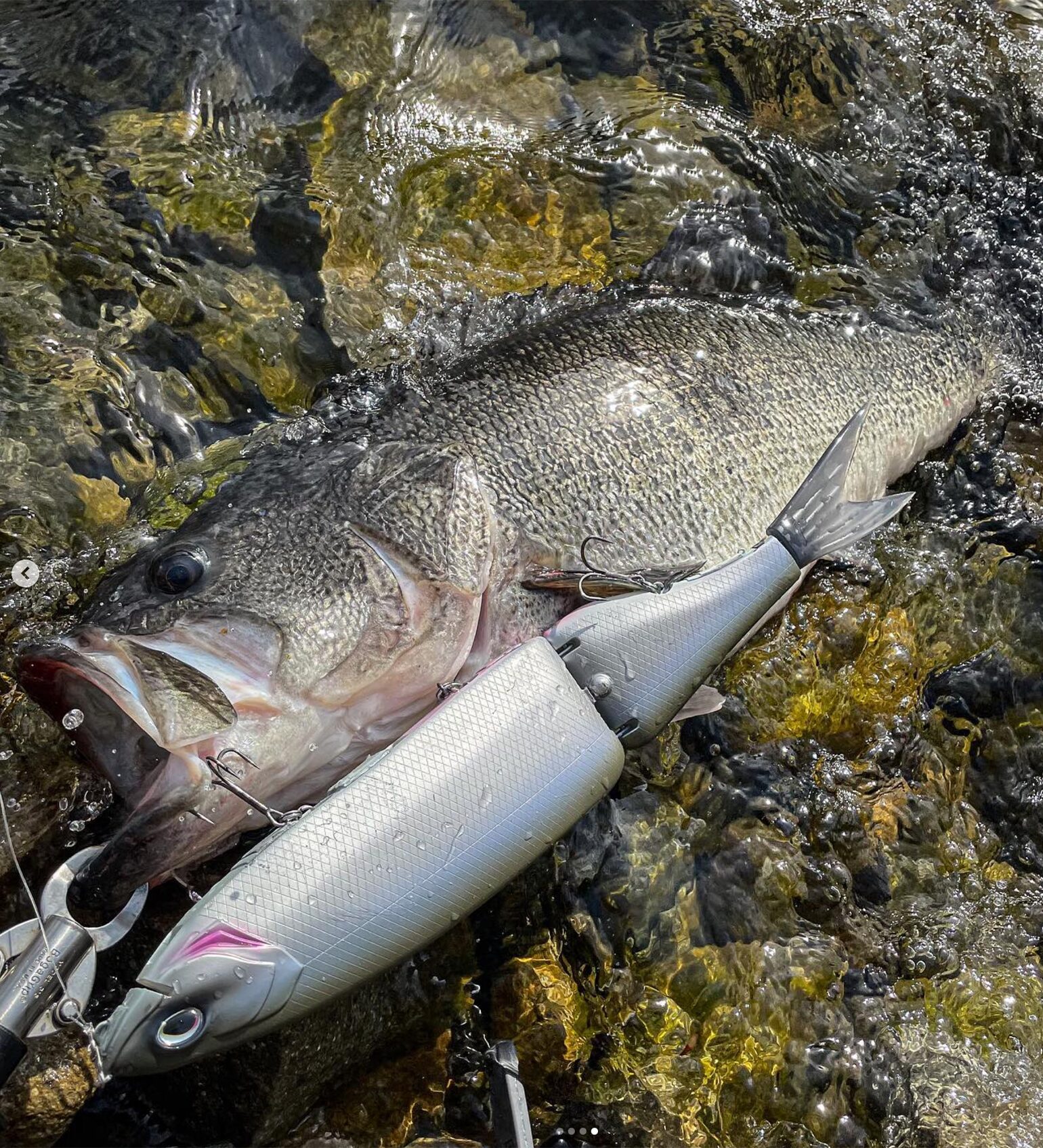 KLASH FRENZY | DRT inc.