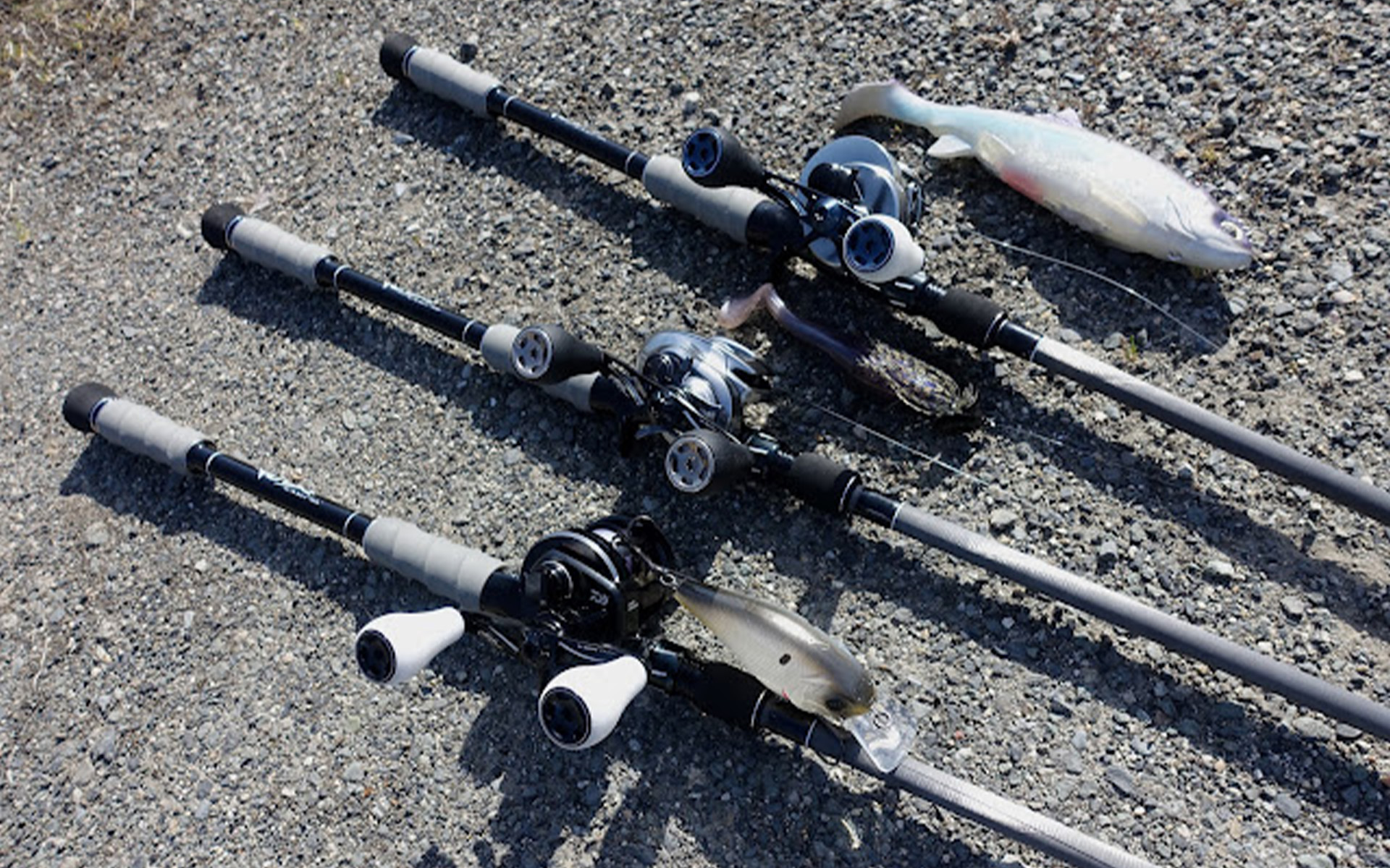 PULSE #1c | DRT inc.