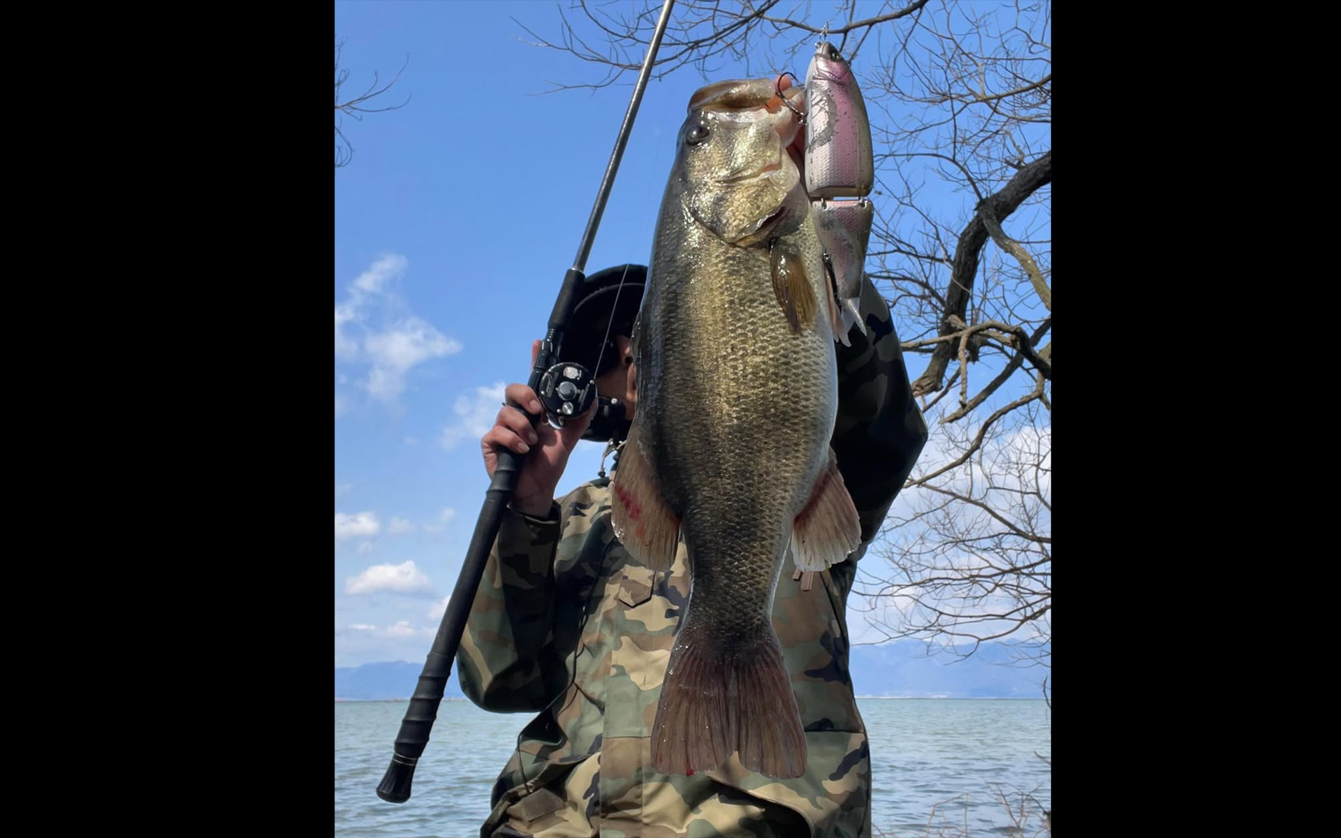 ARTEX “CYCLONE” | DRT inc.