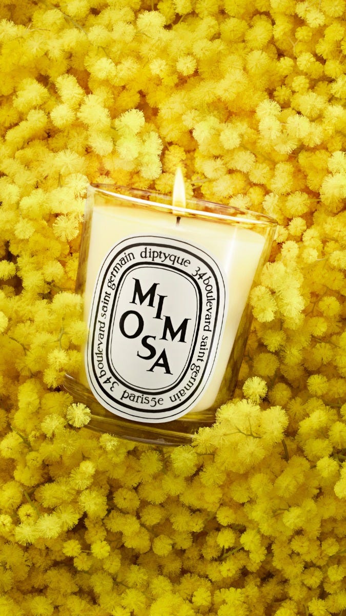 Mimosa - Classic candle | Diptyque Paris