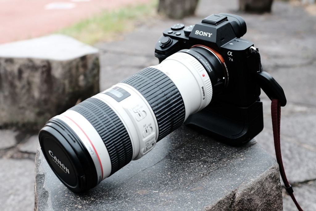 SIGMA MC-11】SONYのカメラでCANONの白レンズの使い方【EF70-200mm F4L