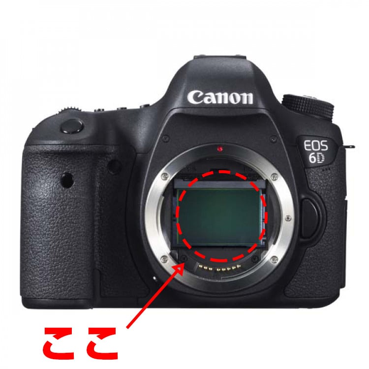 Canon】写真を本格的に始めたい人にあえて今、キヤノンEOS 6Dを