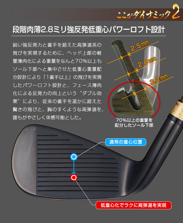 6本セット】ダイナミクス プレステージ アイアン6本セット (#5～#9