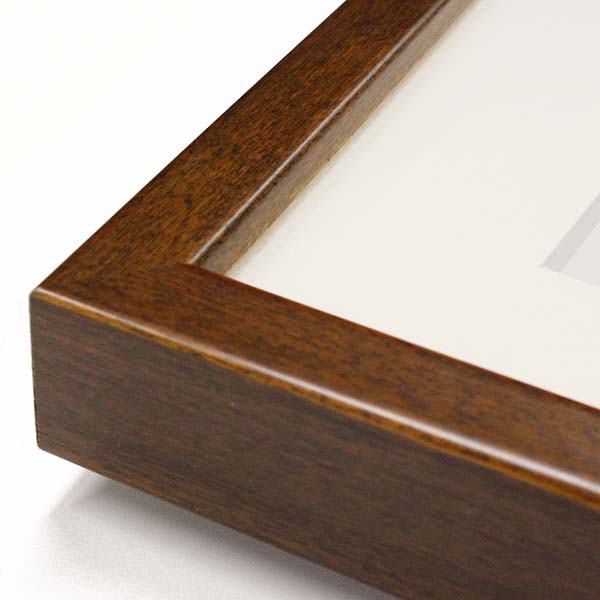 逆転裁判20周年』額装グラフィックアート・キャンバスアート｜イーカプコン