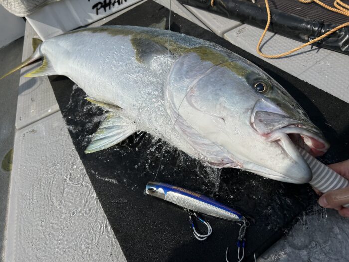 PELICAN220F／ペリカン220F ‣ ネイチャーボーイズ