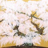 鰉魚曼陀羅図 エンペラーフィッシュ（城本敏由樹）ならアンシャンテ