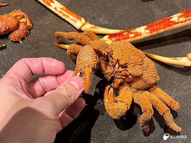 関節が動く標本に | えのすいトリーター日誌 | 新江ノ島水族館