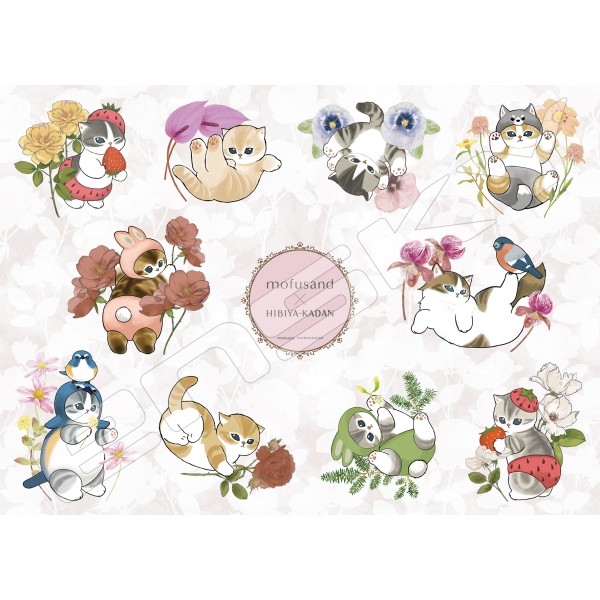 エンスカイ 2枚追加分 エンスカイ 2枚追加分 SPY×FAMILY商品一覧