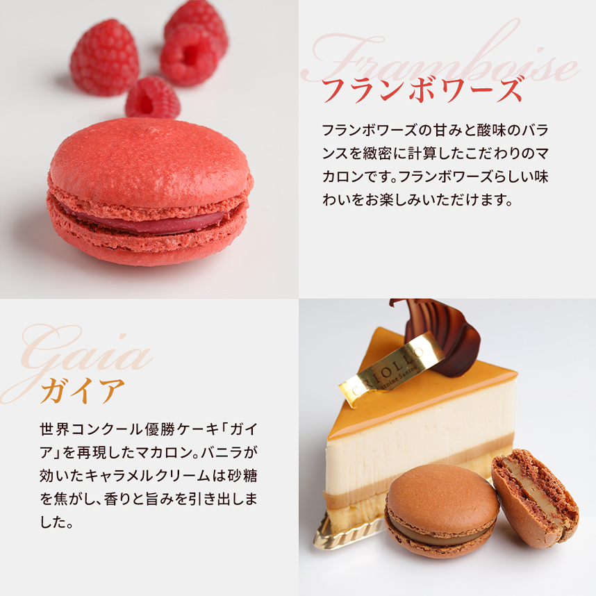 マカロン】マカロン5個セット（ショコラ/ガイア/フランボワーズ