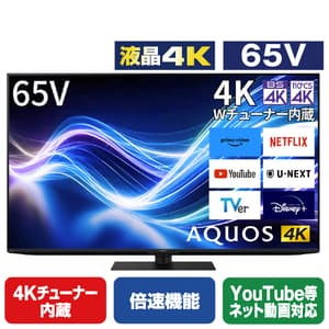 大画面で楽しもう！50型以上テレビ特集 家電と暮らしのEDIONネット
