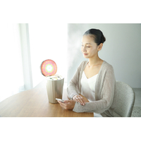 ヤーマン YJSB0N 美顔器スチーマー フォトケア シャンパンゴールド