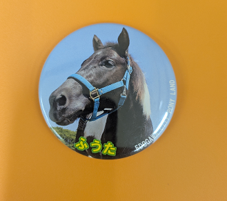 新しい缶バッジが入荷しました！② - ポニーランド - 公益財団法人