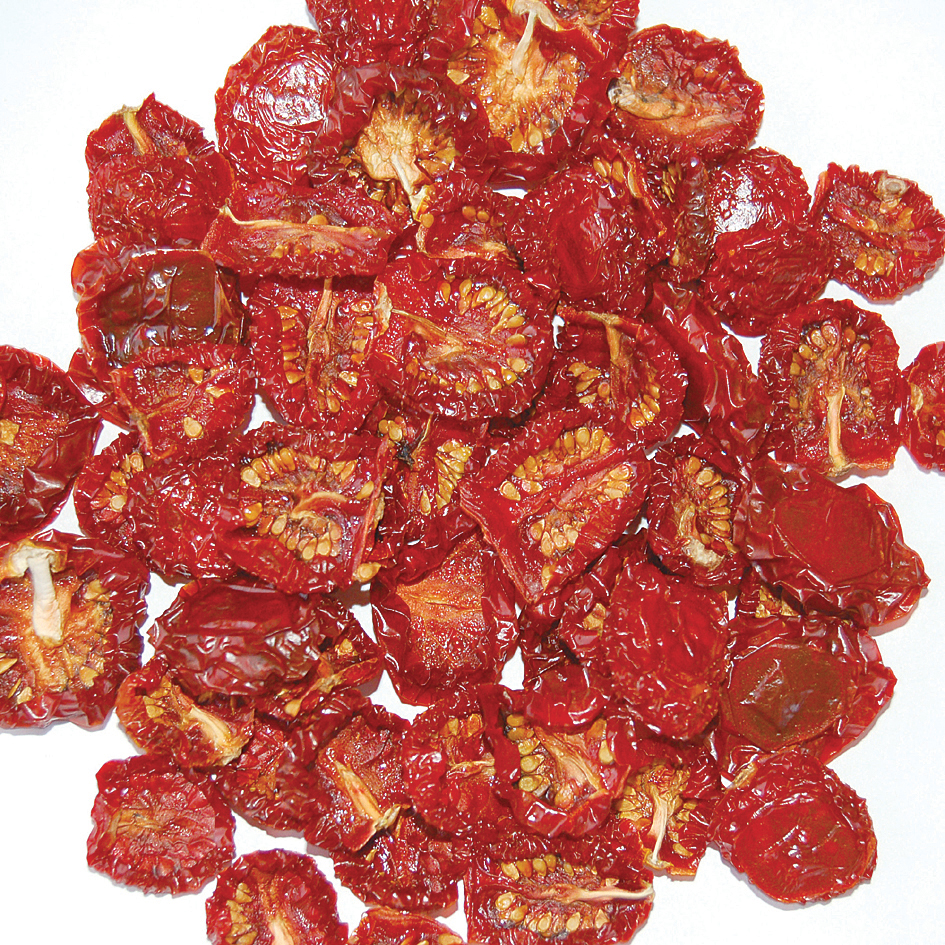 食品乾燥機 ドラッピー DSJ－mini | 新商品・ピックアップ商品