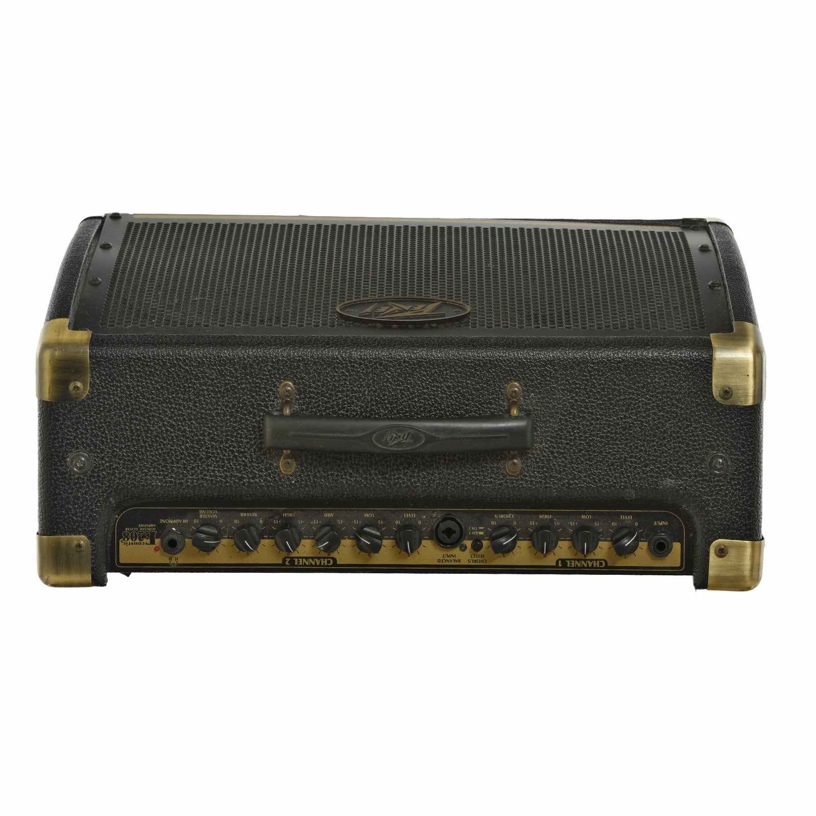 Peavey Ecoustic E208 Acoustic Amplifier (2022) – Elderly Instruments