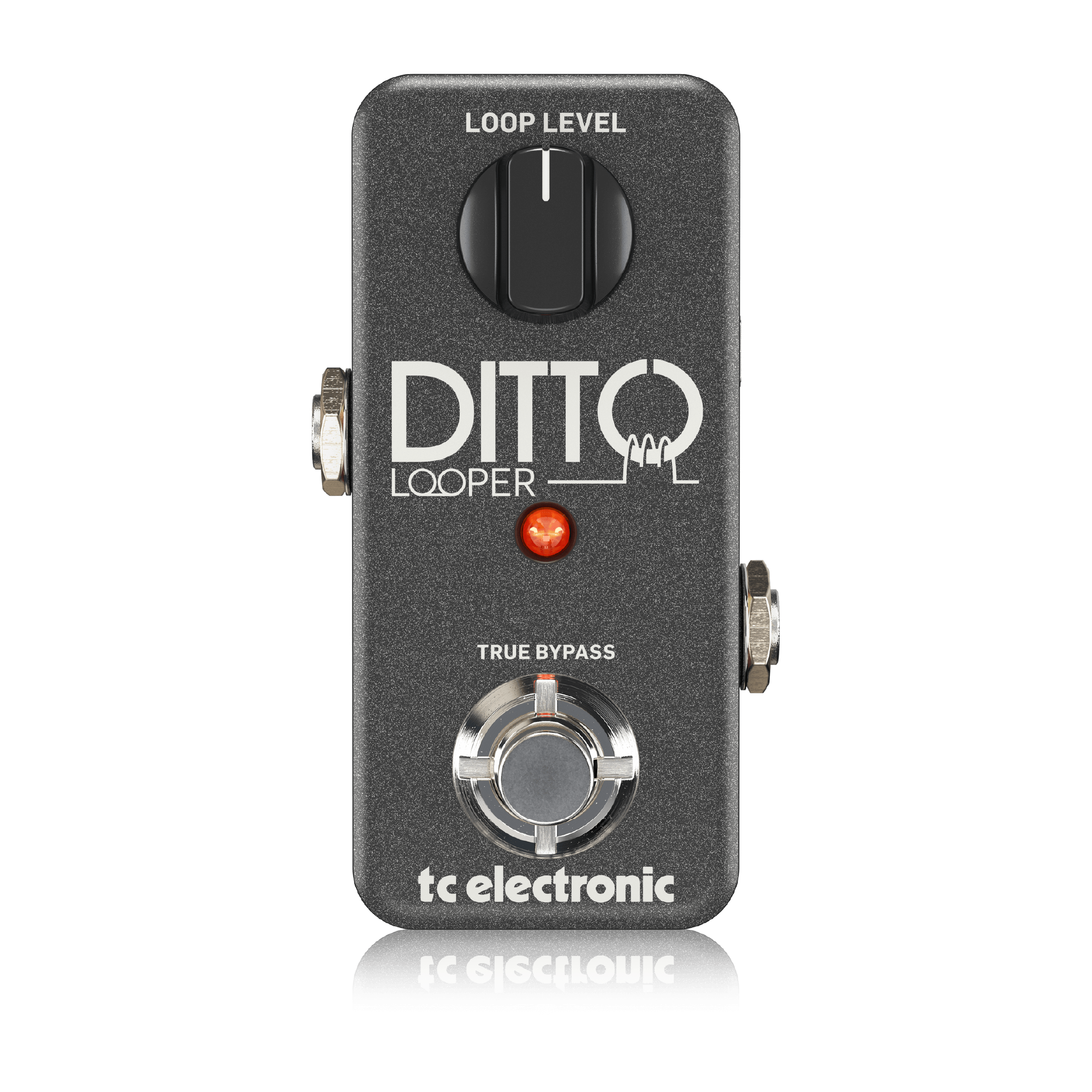 DITTO LOOPER | TC Electronic