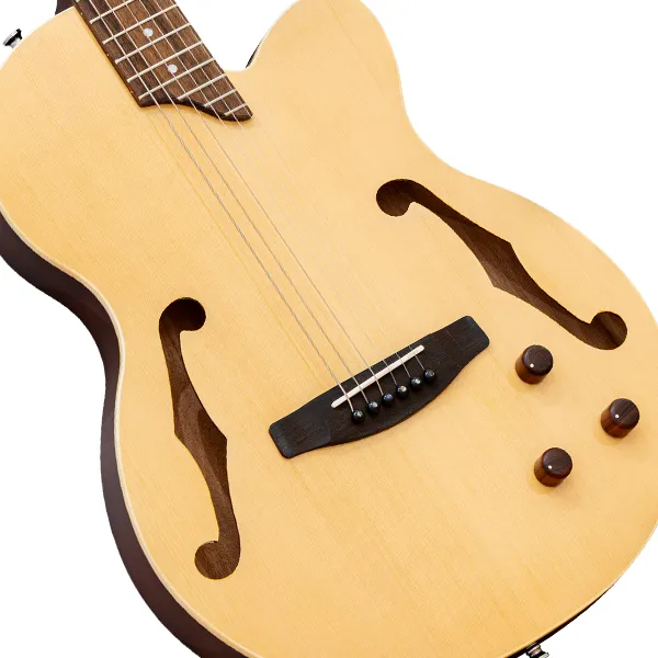 Acoustic Guitar [アコースティックギター] - ELK