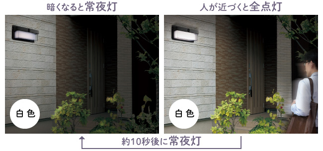 二重構造(大型)ボディ | 商品情報 | ELPA 朝日電器株式会社