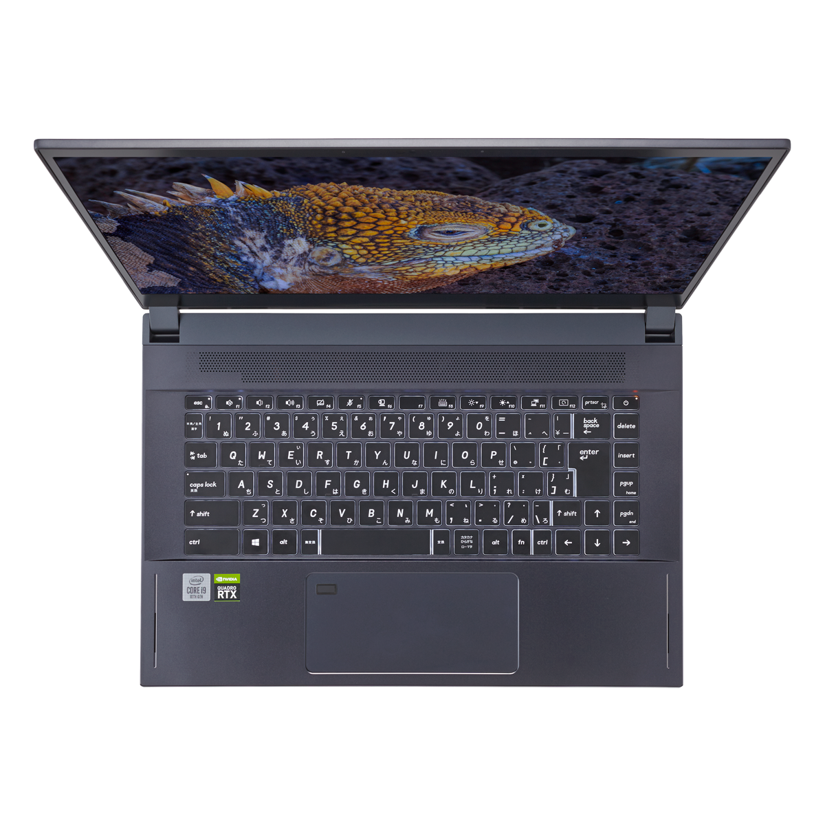 ELSA VELUGA 4000 G2 for Windows - 株式会社 エルザ ジャパン