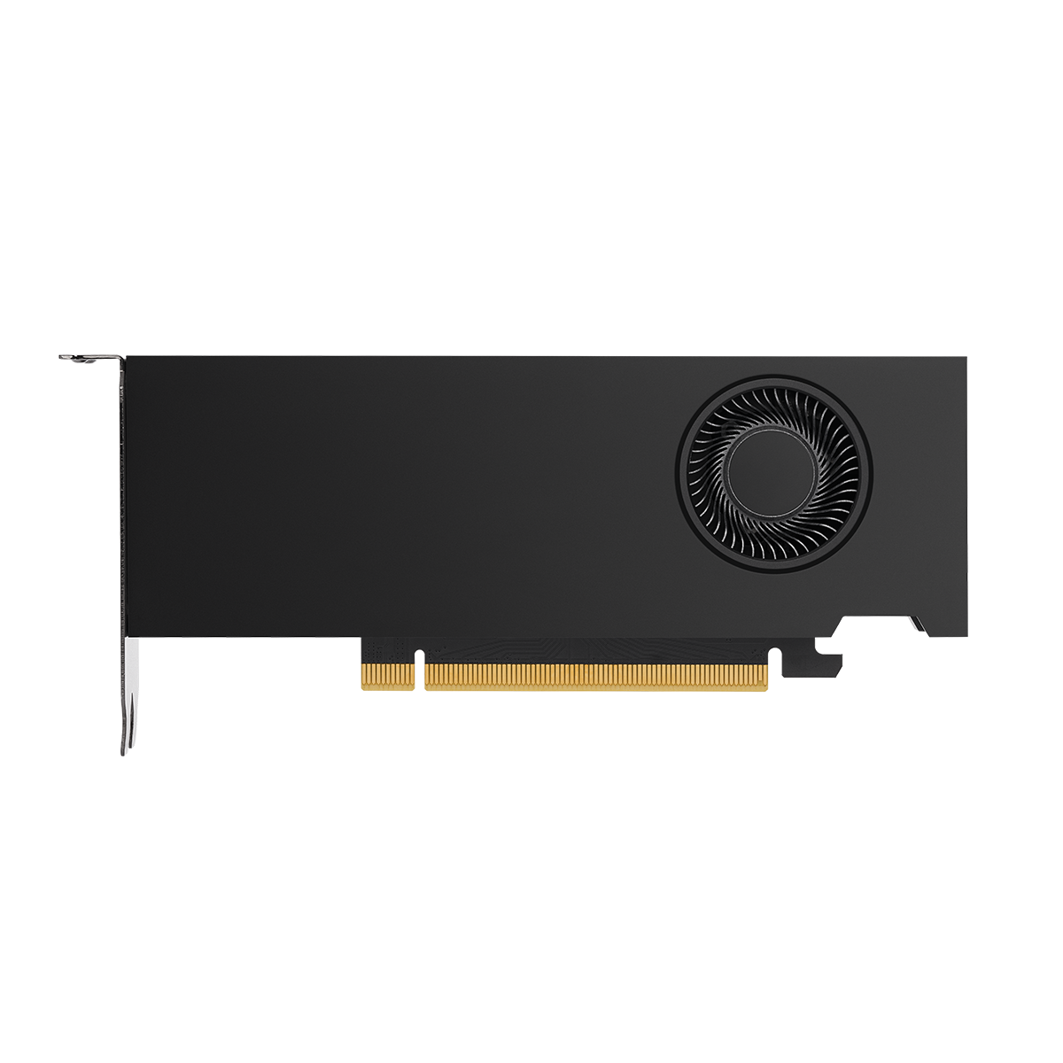 NVIDIA RTX A2000 12GB - 株式会社 エルザ ジャパン