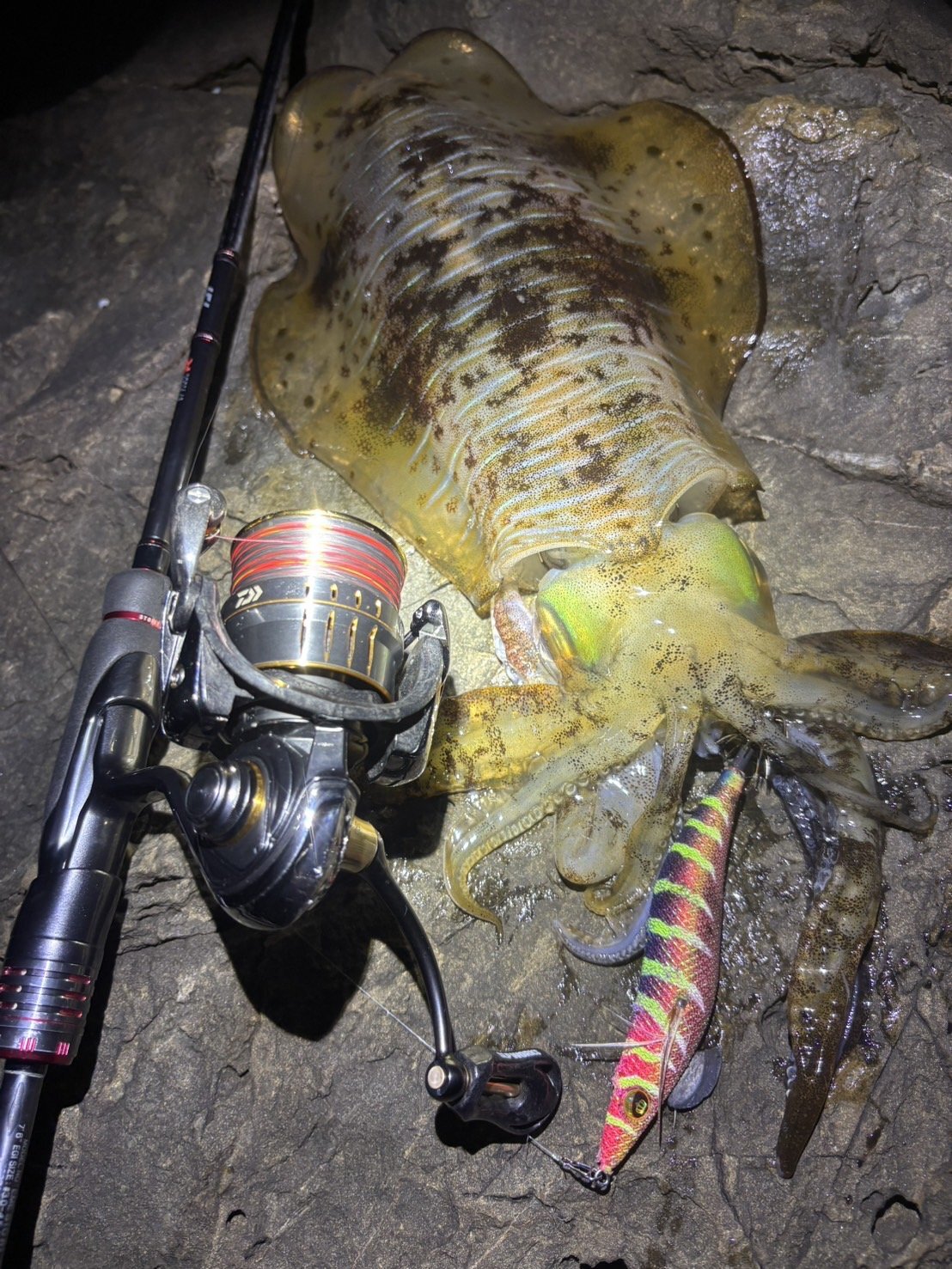 WILDCHASE 3.5号シャローtune /四雷 しらい[監修:藤原 弘貴] - EGI MANIACS