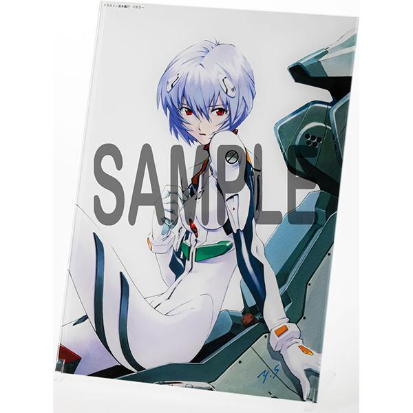 貞本義行「新世紀エヴァンゲリオン」アクリルアートボード C（KADOKAWA