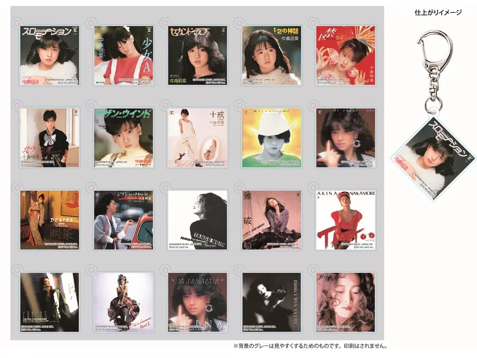 43rd ANNIVERSARY AKINA NAKAMORI PHOTO EXHIBITION
