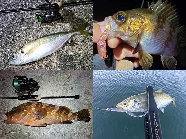 EVERGREEN（エバーグリーン インターナショナル） - SPRS-66SUL-S