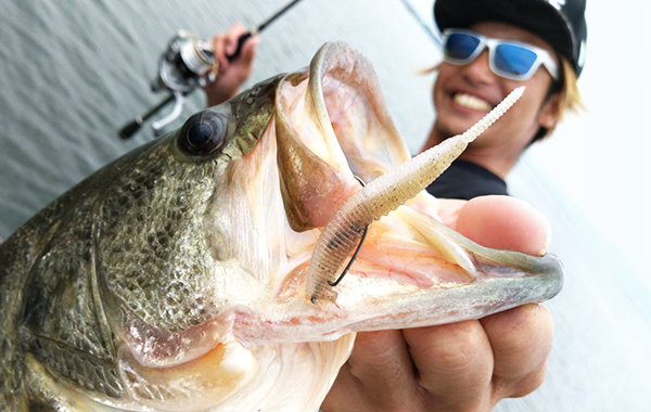 EVERGREEN（エバーグリーン インターナショナル） - PCSS-65L+