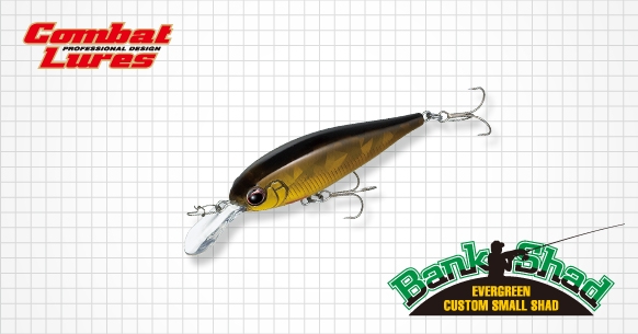 EVERGREEN（エバーグリーン インターナショナル） - バンクシャッド