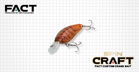 EVERGREEN（エバーグリーン インターナショナル） - スピンクラフト