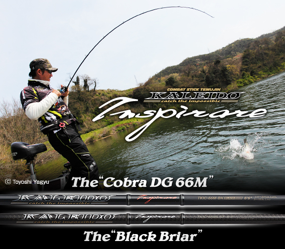 EVERGREEN（エバーグリーン インターナショナル） - TKIC-65MLST-BK