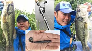 EVERGREEN（エバーグリーン インターナショナル） - HFAS-511MHST