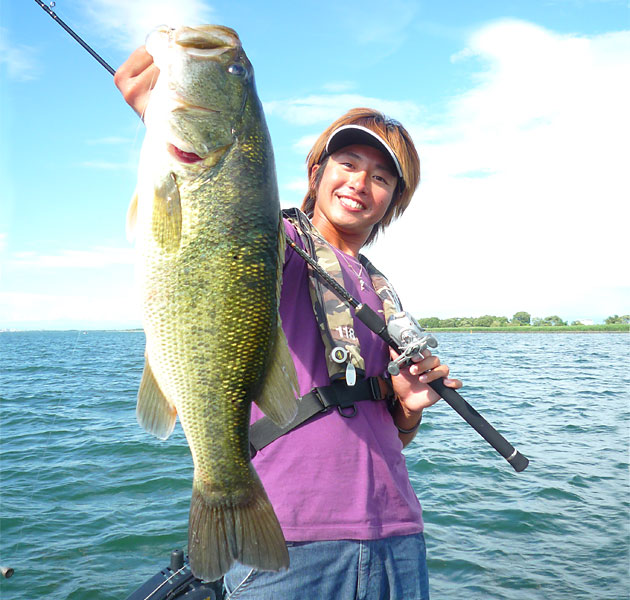 EVERGREEN（エバーグリーン インターナショナル） - HCSC-67MH ブルー