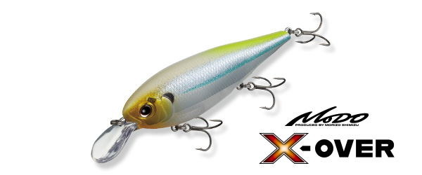 EVERGREEN（エバーグリーン インターナショナル） – ビッグバス連発