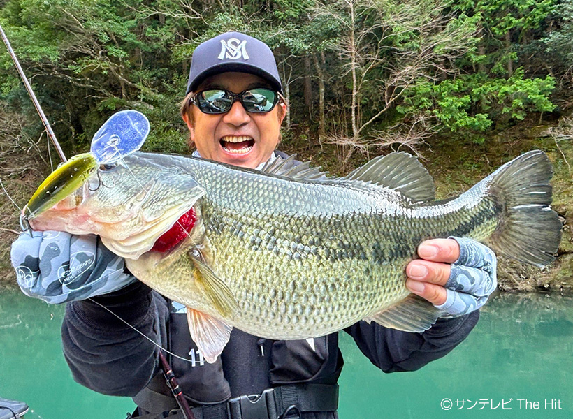 EVERGREEN（エバーグリーン インターナショナル） – ビッグバス連発