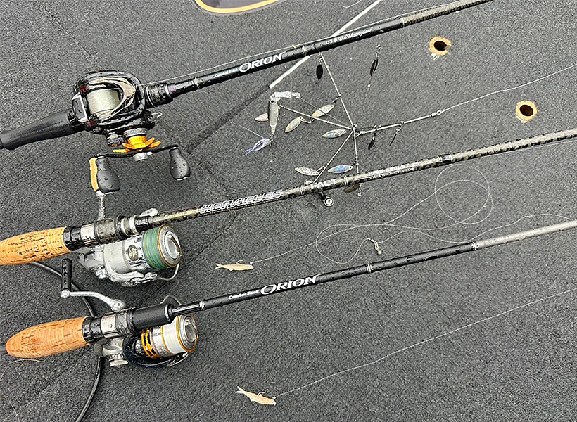 EVERGREEN（エバーグリーン インターナショナル） – 志達海輝 JBトップ