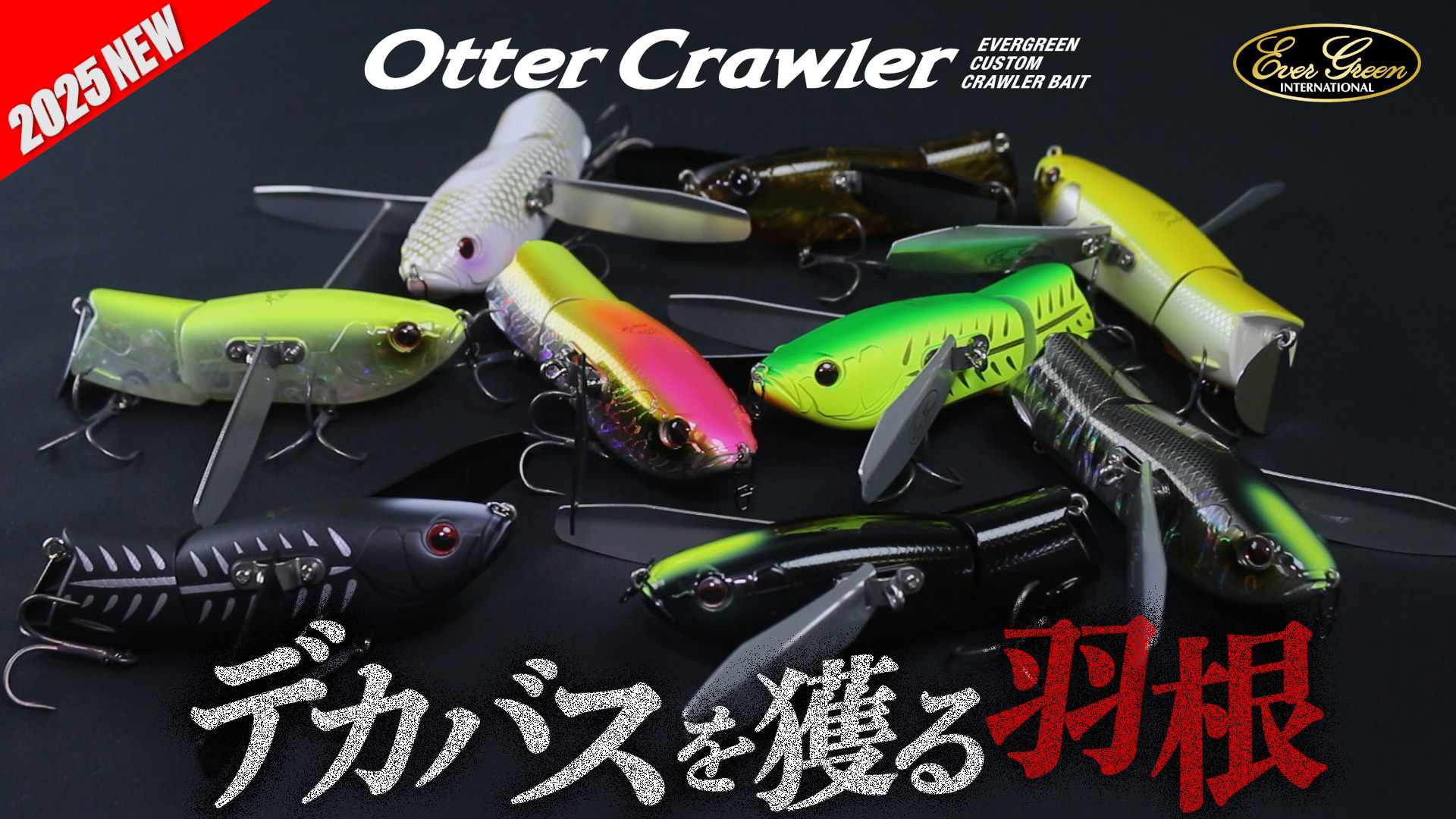 EVERGREEN（エバーグリーン インターナショナル） – 【YouTube