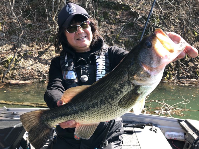 EVERGREEN（エバーグリーン インターナショナル） - OCSC-71H+