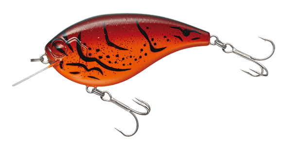 EVERGREEN（エバーグリーン インターナショナル） – フラットフォース