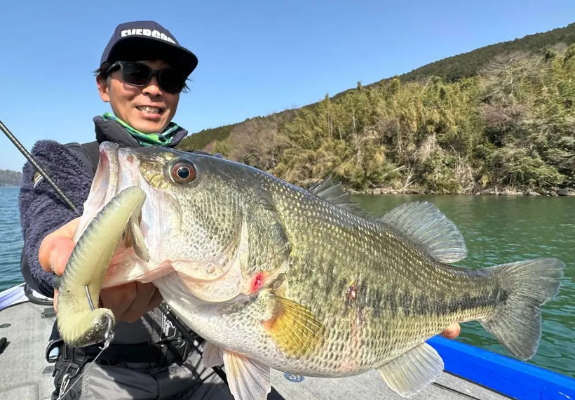 EVERGREEN（エバーグリーン インターナショナル） - クラップバザー6