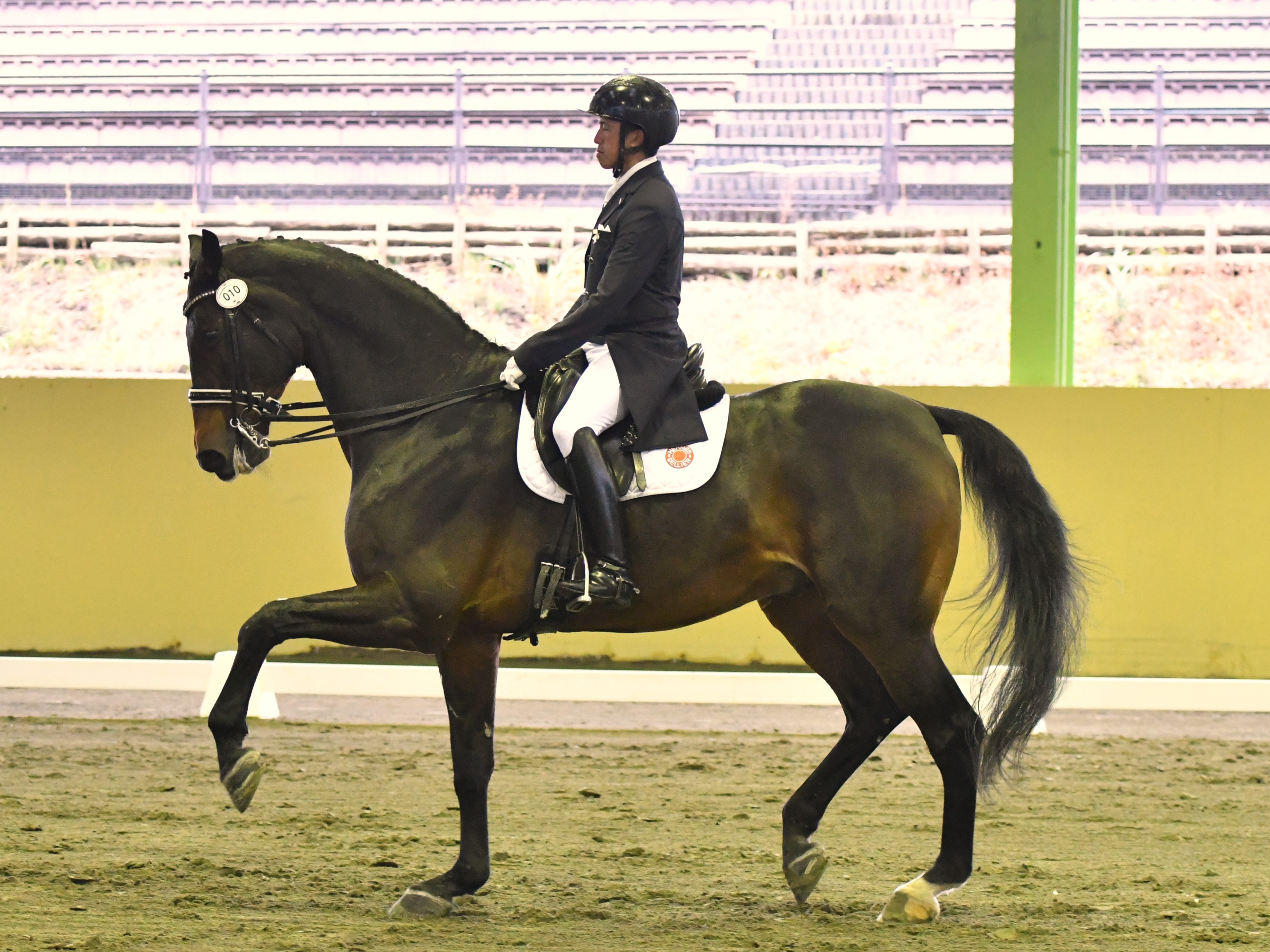 全日本馬場PartⅠ》最終日レポート 公益社団法人 日本馬術連盟 《Japan