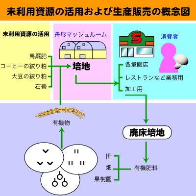 舟形マッシュルーム｜栽培方法