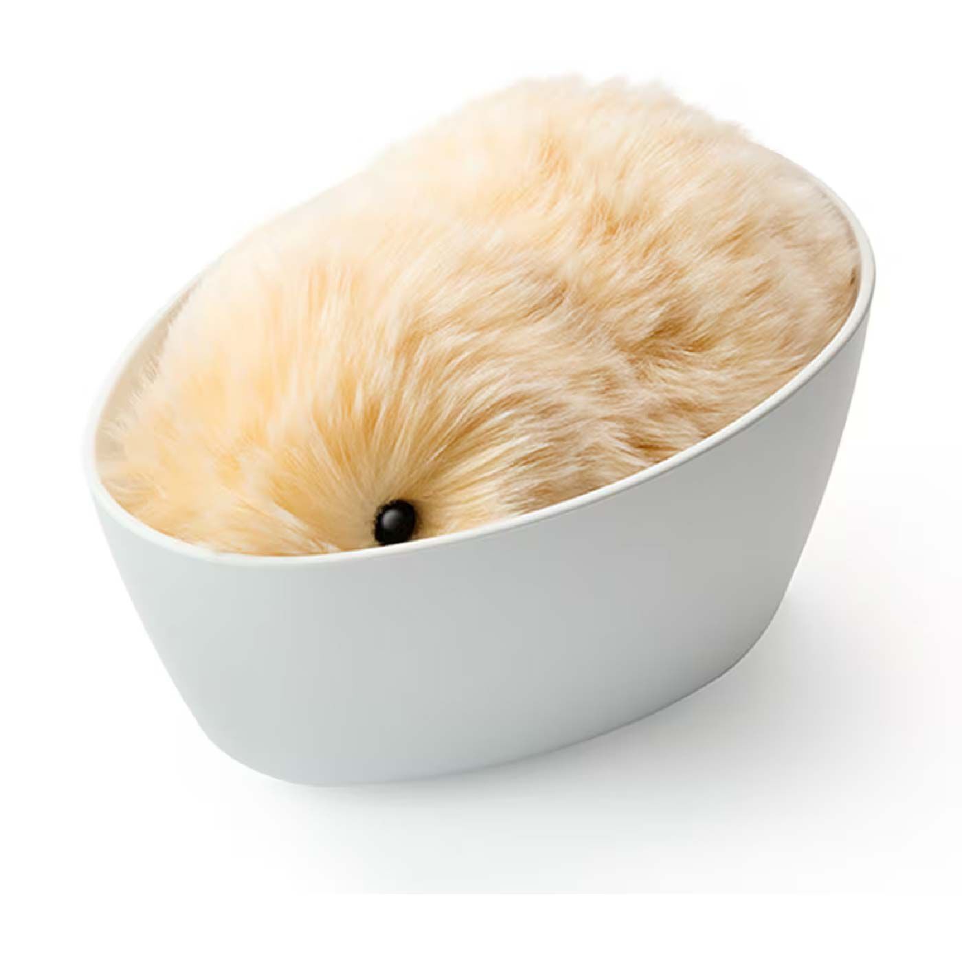 AIペット〈コミュニケーションロボット〉 こころであういきもの