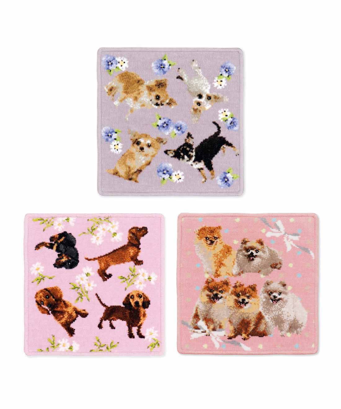 うちの子いちばんかわいい！ cococi wanko（ココチ ワンコ