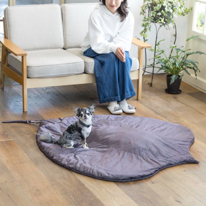 世界最大の淡水エイ ヒマンチュラ・チャオプラヤの ぬいぐるみ│YOU