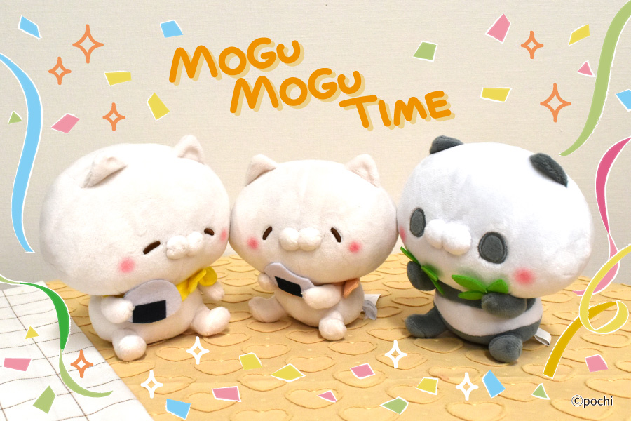 SNSで大人気の「こどもにゃんこ」「となりのにゃんこ」第2弾が