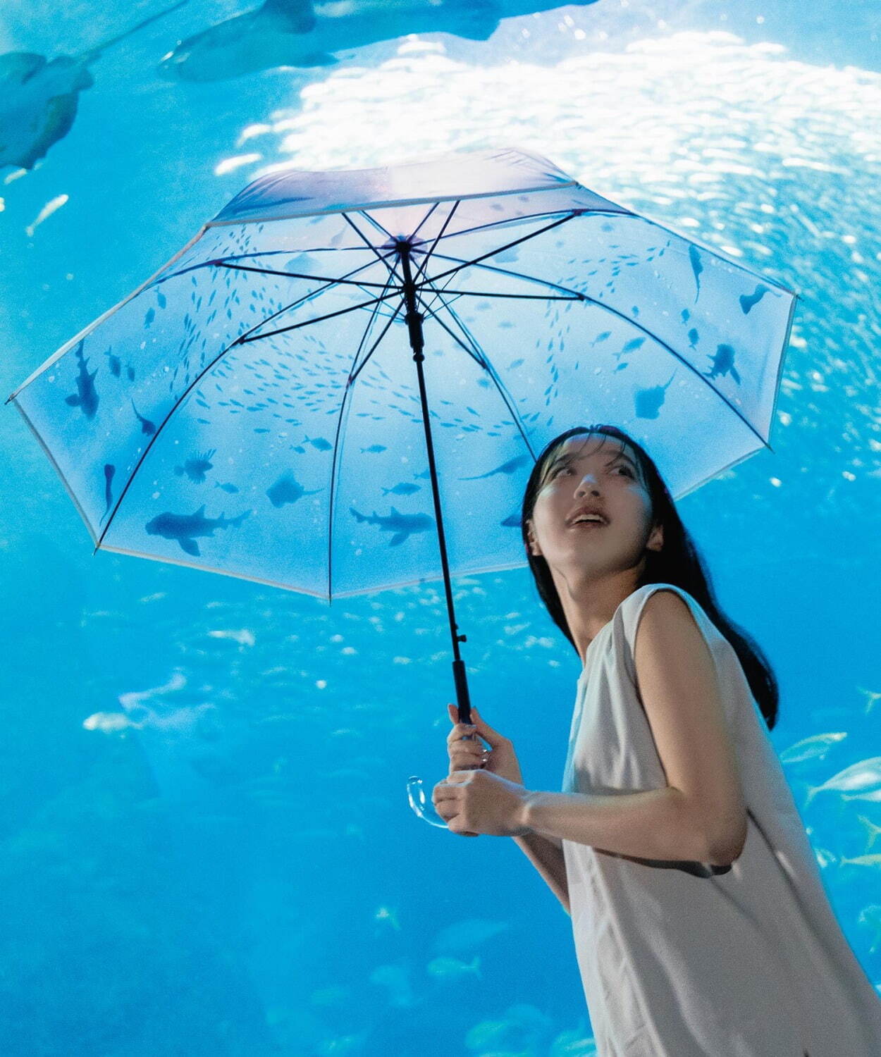 Wpc.×「新江ノ島水族館」のビニール傘が全国発売、“まるで水中”クラゲ