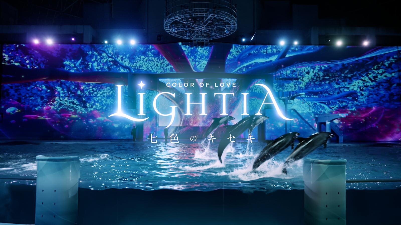 横浜・八景島シーパラダイスのクリスマス、イルカショーと連動する