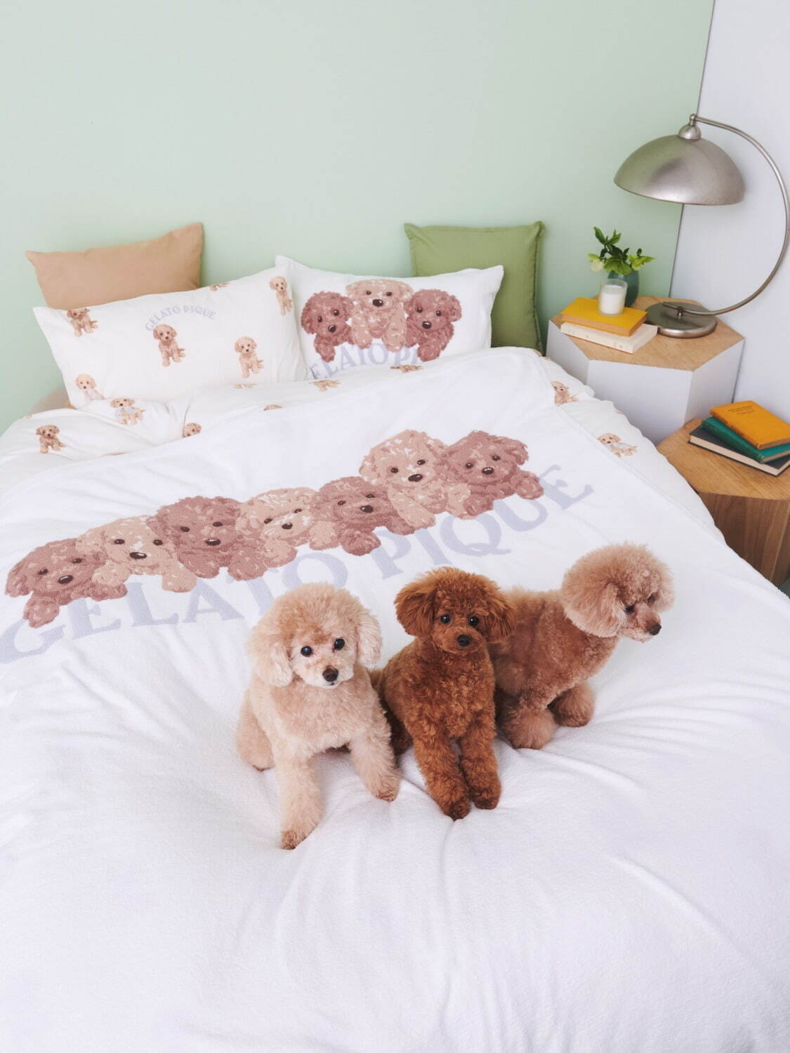 写真13/14｜ジェラート ピケ「トイプードル」ルームウェア、お座り