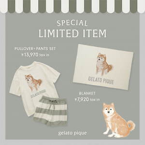 ジェラート ピケ「柴犬」モチーフのルームウェア、セットアップや総柄T